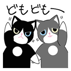 [LINEスタンプ] 黒ハチワレねこさん＆灰ハチワレねこさん