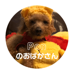 [LINEスタンプ] ぽんちんにょにょ