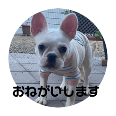 [LINEスタンプ] ティセラ