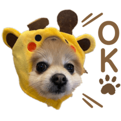 [LINEスタンプ] ポメラニアンのねぎちゃんスタンプ  2