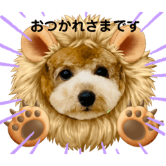 [LINEスタンプ] トイプードルのトトロくん