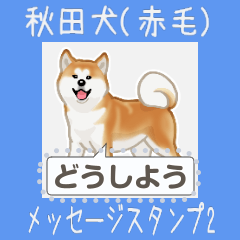 [LINEスタンプ] 秋田犬（赤毛）日本語 2/2の画像（メイン）
