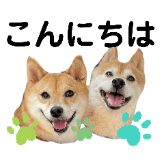 [LINEスタンプ] こたちよスタンプの巻1