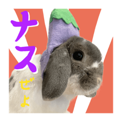 [LINEスタンプ] 穏やかな1日をナスbyうさぎのなすび