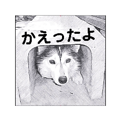 [LINEスタンプ] animalイラスト白黒ひらがな