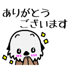 [LINEスタンプ] 毎日軽い敬語のらっこきゅん