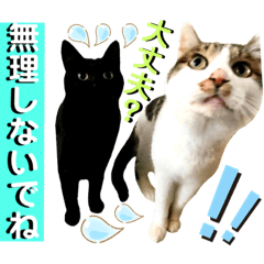 [LINEスタンプ] ねねこ♥⑱ みにくん＆ちびちゃん編
