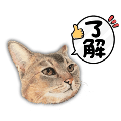 [LINEスタンプ] ともだちのペットたちスタンプ3