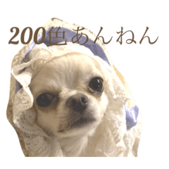 [LINEスタンプ] ツトムの日常