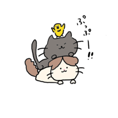 [LINEスタンプ] まめまくぴーちゃんのスタンプ