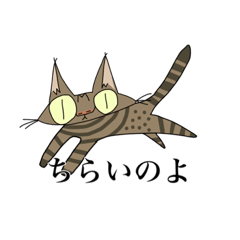 [LINEスタンプ] キジトラるーちゃんスタンプ