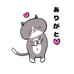 [LINEスタンプ] にゃんこのノリさん