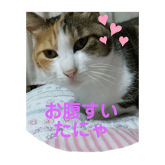 [LINEスタンプ] ピーコお散歩2