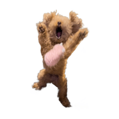 [LINEスタンプ] 人面犬リズ♡2弾
