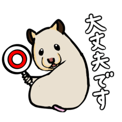 [LINEスタンプ] キンクマハムスターのぽんず日常スタンプ