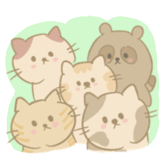 [LINEスタンプ] ねこときどきたぬき