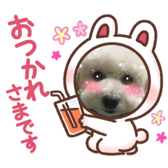 [LINEスタンプ] チャオスタンプ7