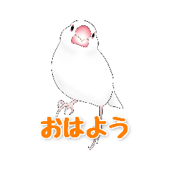 [LINEスタンプ] うちの白文鳥