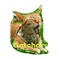[LINEスタンプ] OK スタ