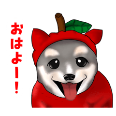 [LINEスタンプ] モグの日常 -MOGU365days-