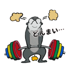 [LINEスタンプ] ドンマイ Donmai