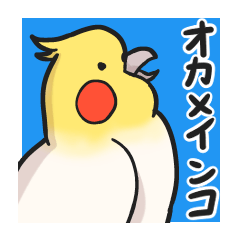 [LINEスタンプ] オカメインコ生活りたーんず