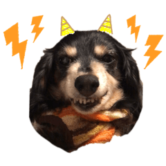 [LINEスタンプ] ちょこちゃんすたんぷ1