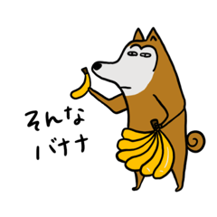 [LINEスタンプ] 柴犬太郎2