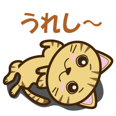 [LINEスタンプ] かわいい茶トラ猫