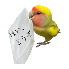[LINEスタンプ] コザクラインコよもぎ♀4