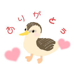 [LINEスタンプ] かもさんスタンプ